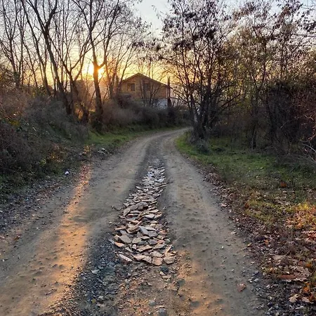 Prázdninový dům Old Stead